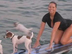 娱乐吃瓜君小狗,揭秘娱乐圈那些不为人知的幕后故事