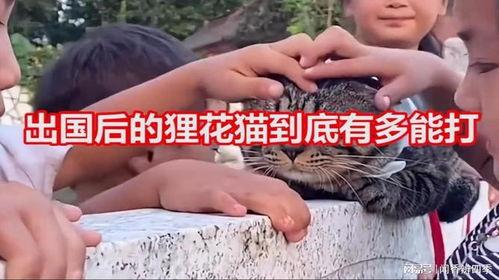 国产咪咪,引领时尚潮流的本土品牌新势力 第2张 国产咪咪,引领时尚潮流的本土品牌新势力 第2张